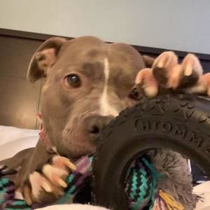 Meet your Posher, Sophia